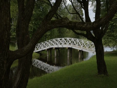 The bridge over the pond. Stock Footage