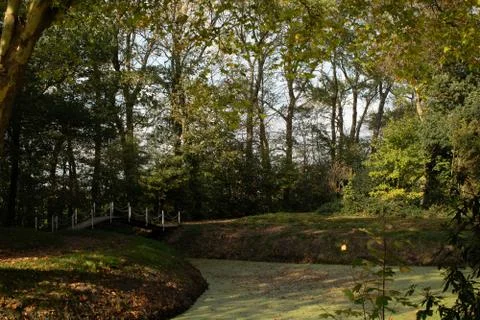 Bridge over a pond Stock Photos