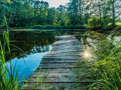 Bridge over the pond Foto stock