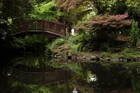 Bridge over pond Stock Photos