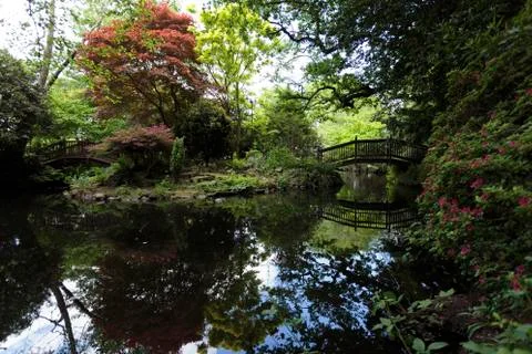 Bridge over pond Stock Photos