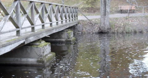 Bridge over quiet pond in park 스톡 동영상 163494554