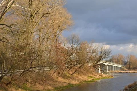Bridge over the river among leafless trees on a cloudy autumn day. Autumn. Stock Photos