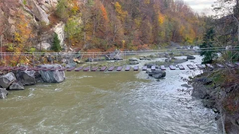 Bridge over the river in the autumn forest Stock Footage 254446298