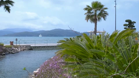 Bridge over the river in the bay. Stock Footage 232959816
