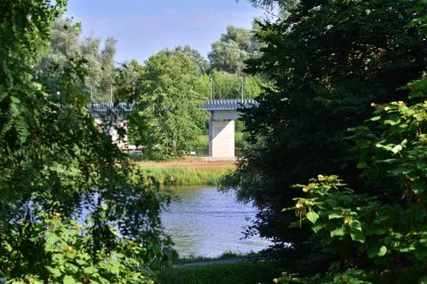 Bridge over the river between trees on a sunny day. Summer. Day. Stock Photos