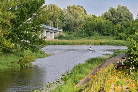Bridge over the river between trees on a sunny day. Summer. Day. Stock Photos