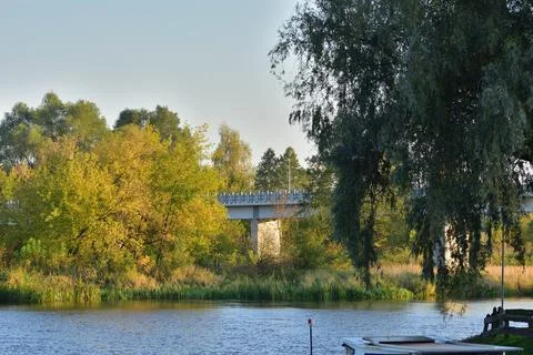 Bridge over the river between trees on a sunny summer day. Stock Photos