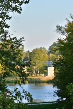 Bridge over the river between trees on a sunny summer day. Stock Photos