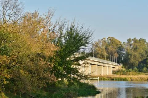 Bridge over the river between trees on a sunny summer day. Stock Photos