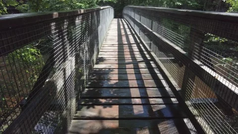Bridge over the River Braan Stock Footage 201307942