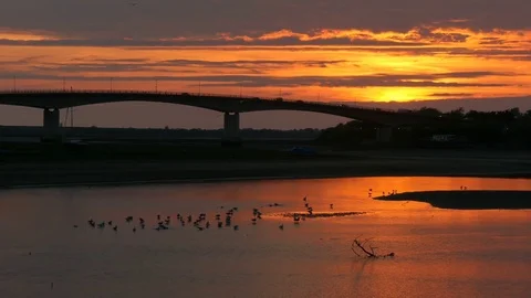 Bridge over river estuary at sunset Stock Footage 75642144