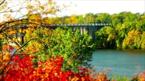 Bridge over river with fall colors Stock Footage