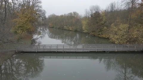 Bridge over a river flowing through the woods Stock Footage 232485017