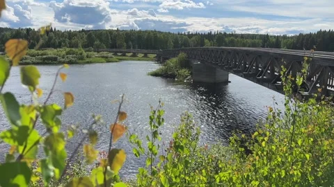 Bridge over a river with foliage in the foreground Stock Footage 288011638