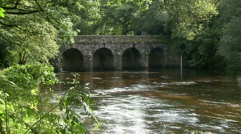 Bridge over river Stock Footage 380728