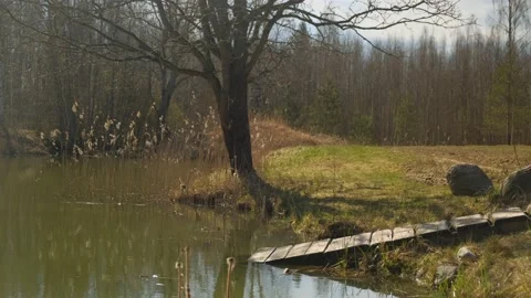 A bridge over a river Stock Footage 131961403
