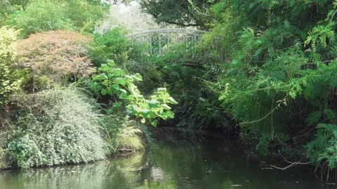 Bridge over river Stock Footage 245413276