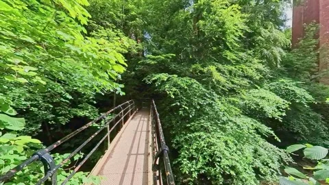 Bridge over the river Stock-Footage 245813092