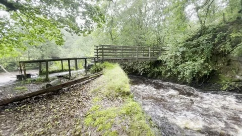 Bridge over a River Stock Footage 292508214
