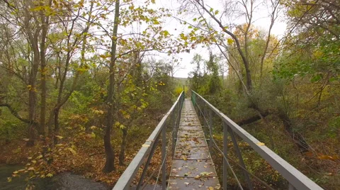 Bridge over river in forest Video stock 58552875