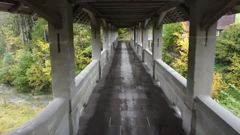 Bridge over the river in the forest 库存影片 142709955