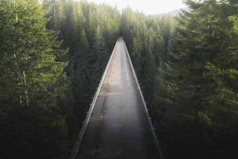 Bridge over a river in a forest Stock Photos
