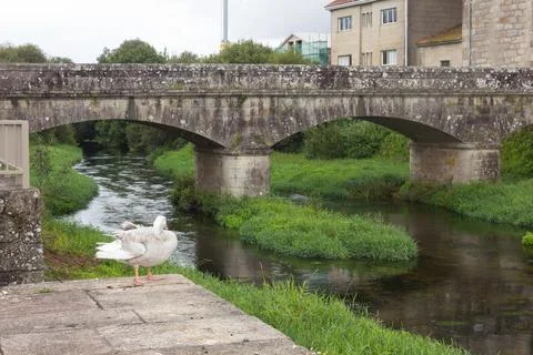 Bridge over river. Old bridge Stock Photos