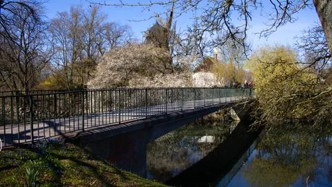 Bridge over a river in the park with trees in bloom Stock Photos