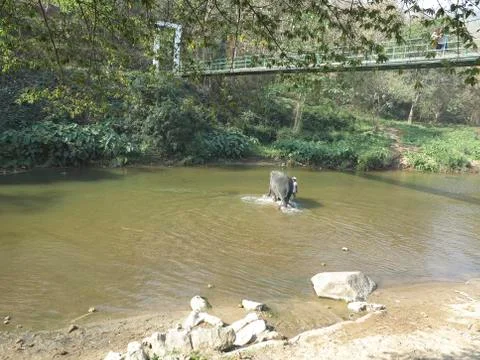 Bridge over the river Foto stock