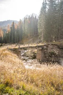 Bridge over the river Stock Photos
