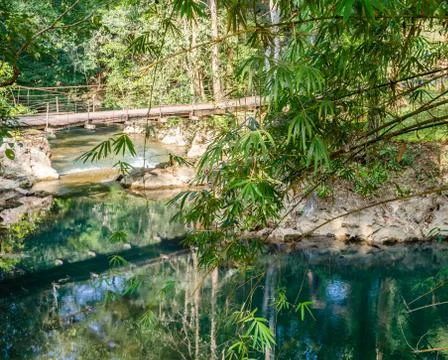 Bridge over the river in the rainforest Stock Photos