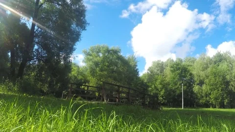 Bridge over the river on summer day in the park timelapse Stock Footage 78019400