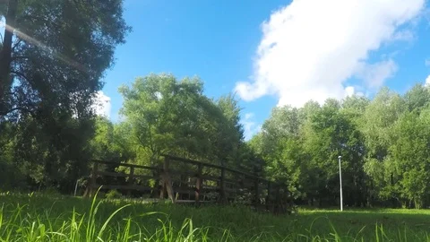 Bridge over the river on a summer day in park timelapse Vidéo 78019412