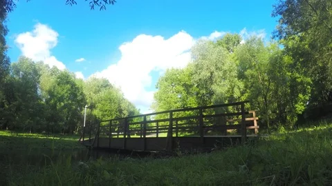 Bridge over a river in summer park timelapse Stock Footage 78017297