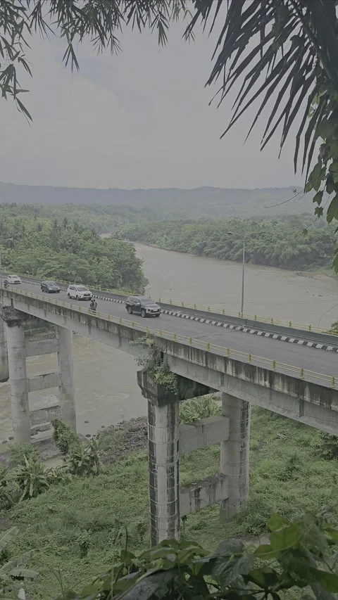 Bridge Over River Surrounded by Forested Landscape with Passing Vehicles Stock Footage 296315249