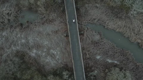 A bridge over a river with trees in the background Stock Footage 298249524