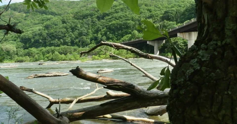 Bridge Over Rushing River with Mountains and Trees Dolly Shot, 4K Stock Footage 63754971