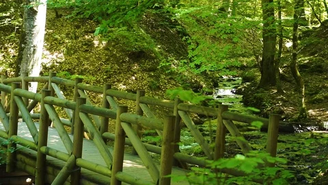 A bridge over a small lake Stock Footage 92853636