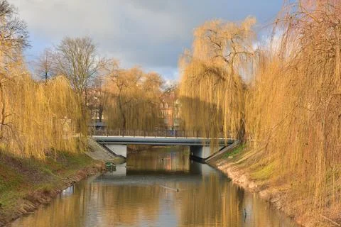 A bridge over a small river between leafless willows on a gloomy autumn day. Stock Photos