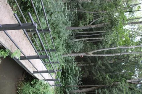 Bridge over a small river. Stock Photos