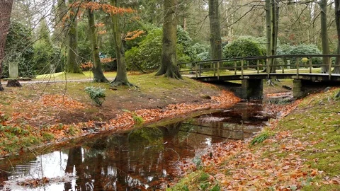 Bridge over small river - water ripples, forest - Ohlsdorf cemetery, Hamburg, Ge Stock Footage 102279549