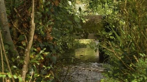 A bridge over a stream Stock Footage 86245615