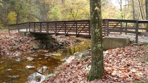 Bridge over a stream with leaves all over the ground 스톡 동영상 141765013