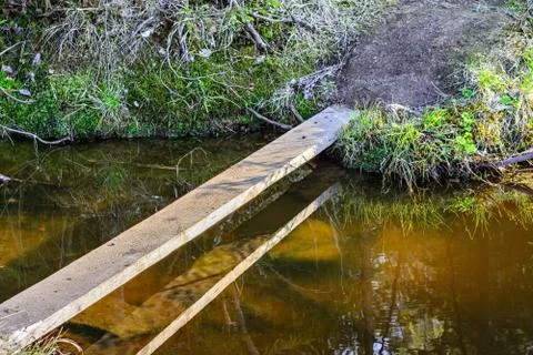 Bridge over the stream. Фото