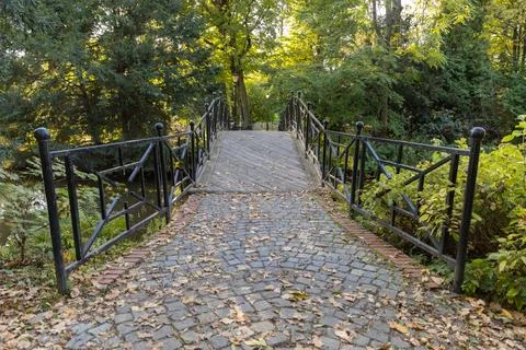 Bridge over the stream 스톡 사진