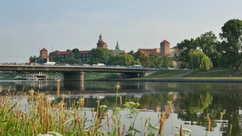 Bridge over the Vistula river and greens on the foreground Stock Footage 133079527