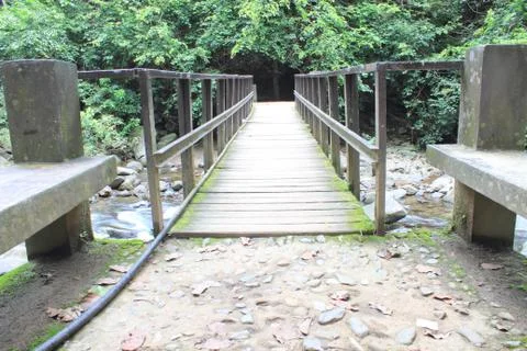 Bridge over the waterfall in forest 스톡 사진