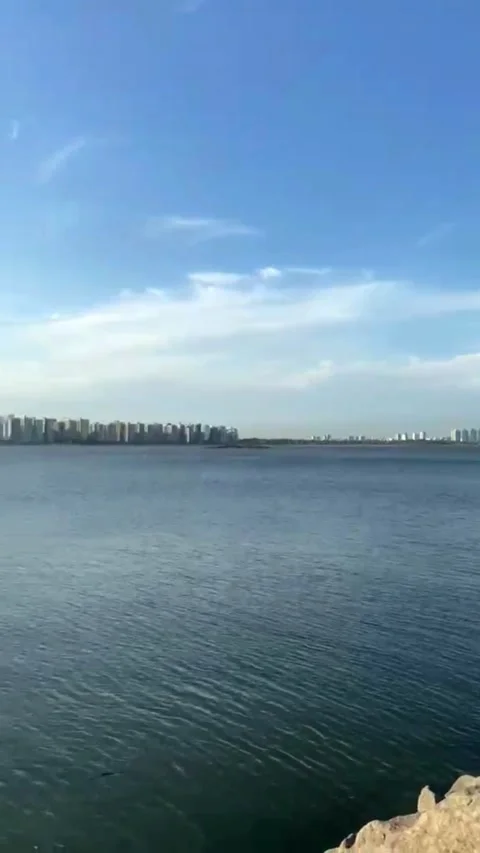 Bridge Overlooking the Bay and Coastal City Stock Footage 341047531