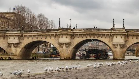 Bridge in paris Stock Photos